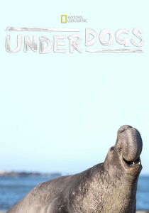 Underdogs streaming