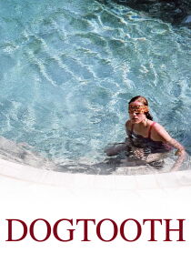 Dogtooth streaming