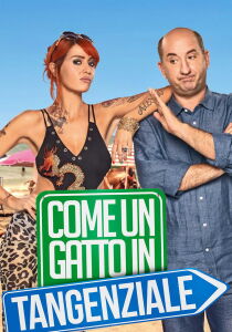 Come un gatto in tangenziale streaming